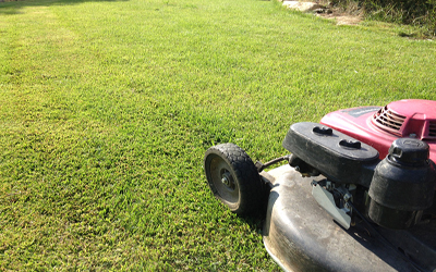 Mantenimiento de c&eacute;sped, el runar